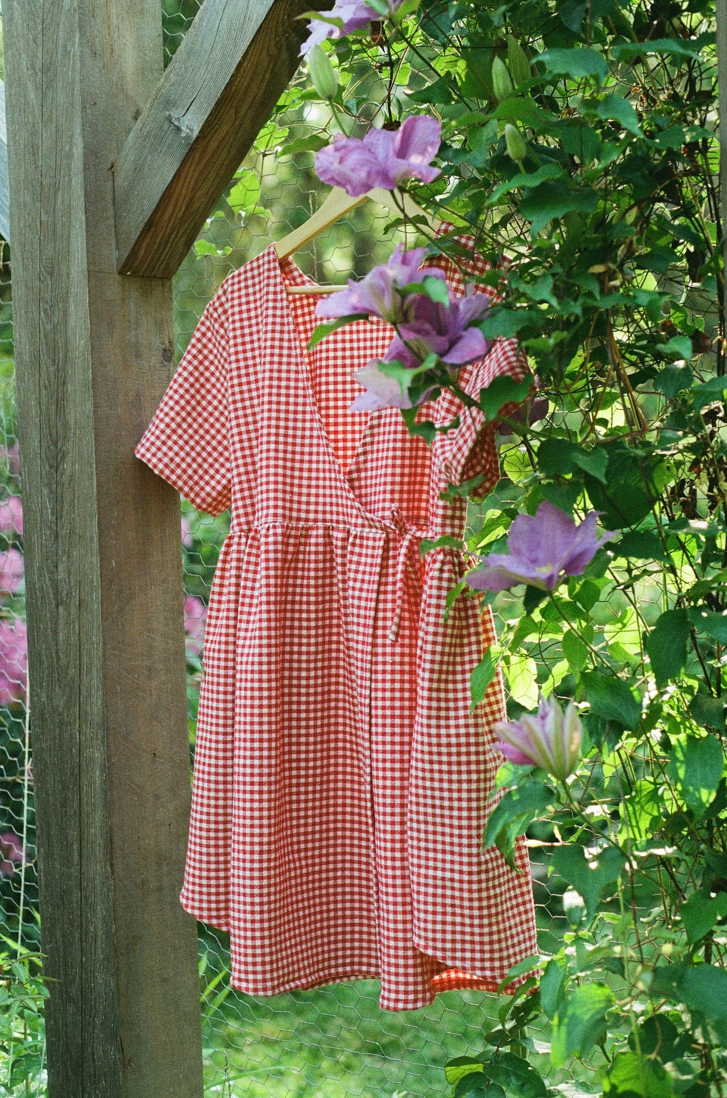 Red Gingham Mini Hawthorn Dress
