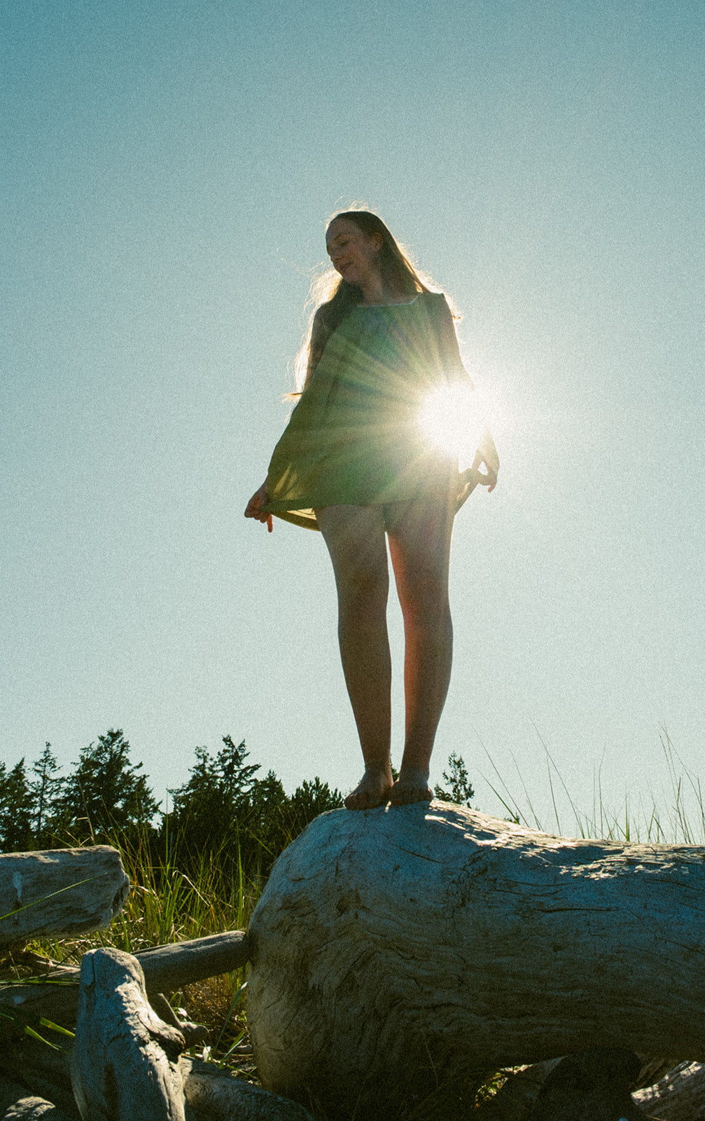 Linnet Smock Dress
