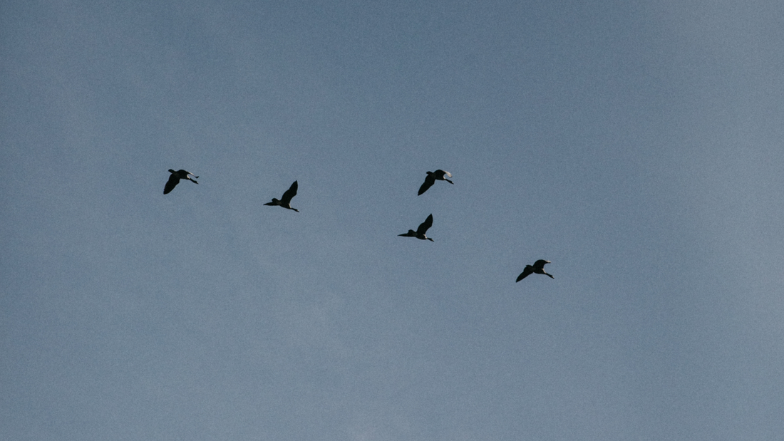 Muse of the Month: Marina Lynn