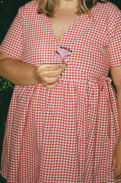 Red Gingham Mini Hawthorn Dress