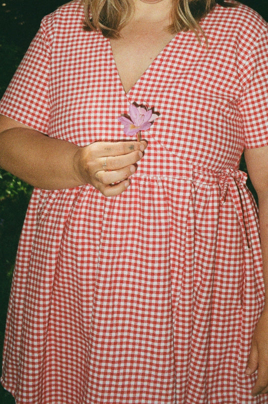 Red Gingham Mini Hawthorn Dress