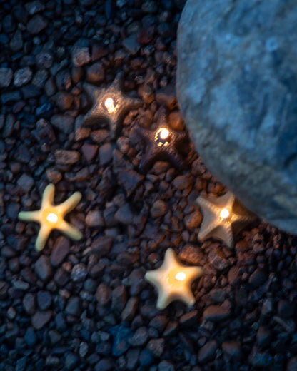 Intertidal Candles