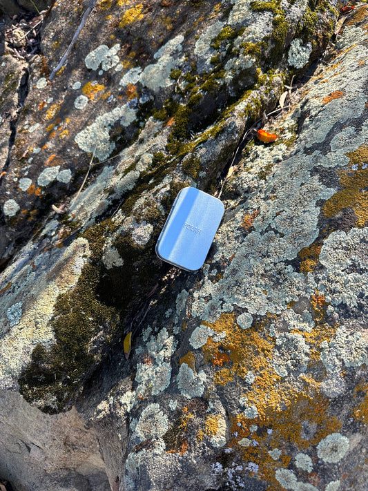 Discovery Sample Kit