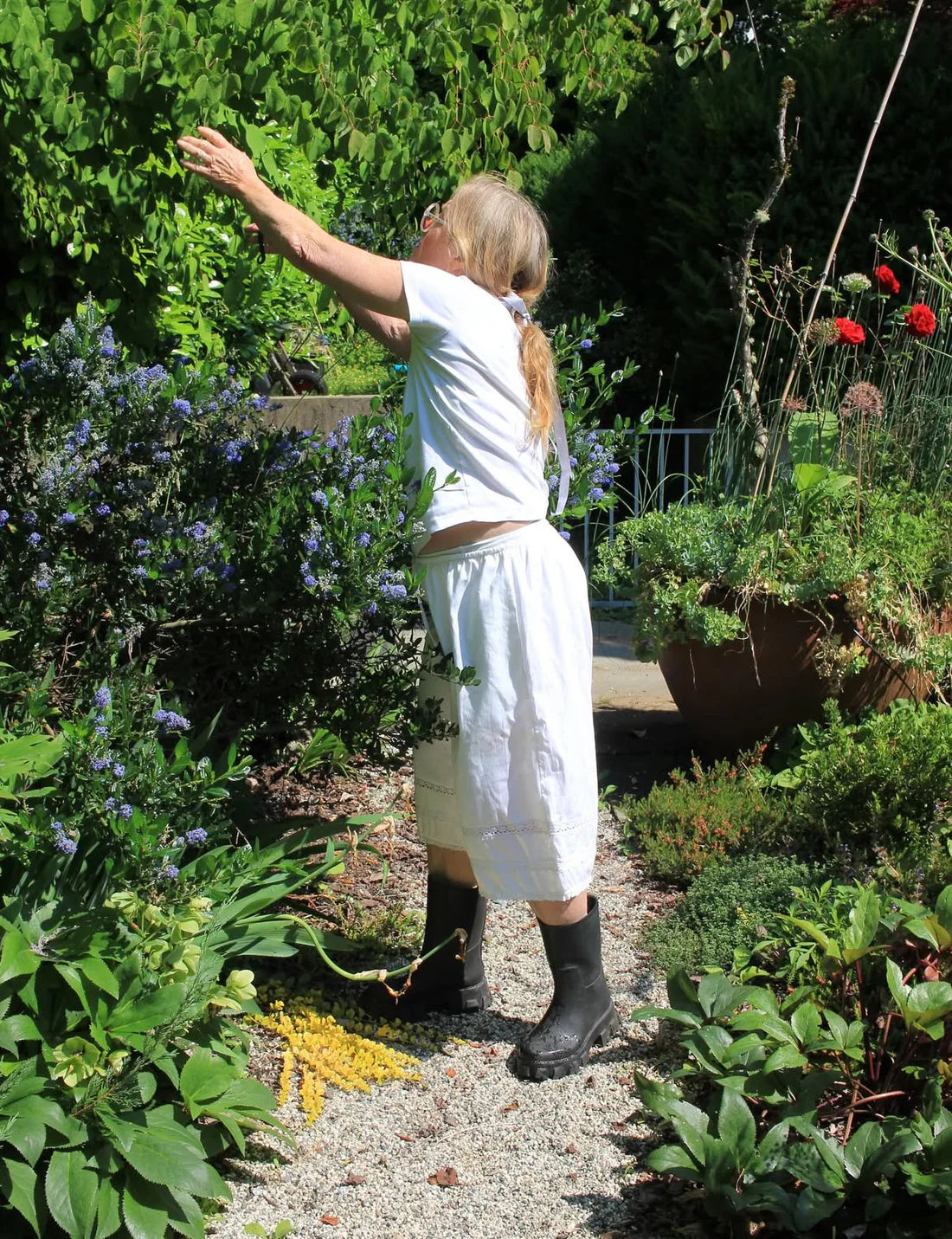 White Daydreamer Short