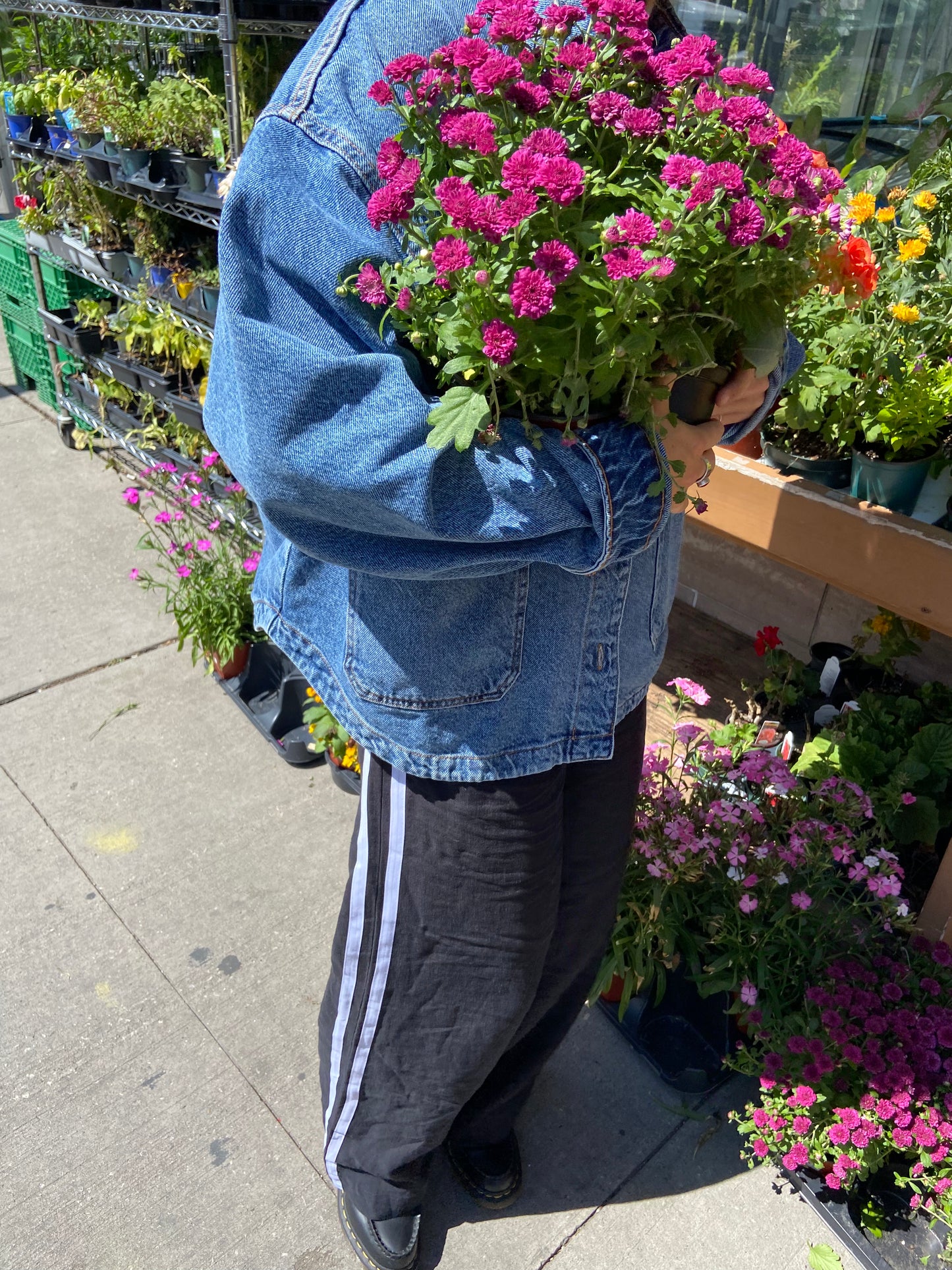 Black Tate Track Pant