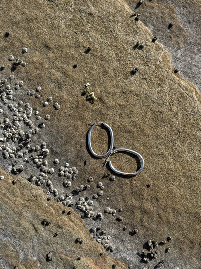 Oval Tube Hoop Earrings