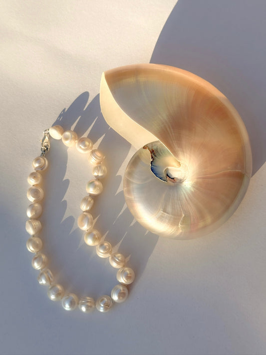 Large White Circle Collar