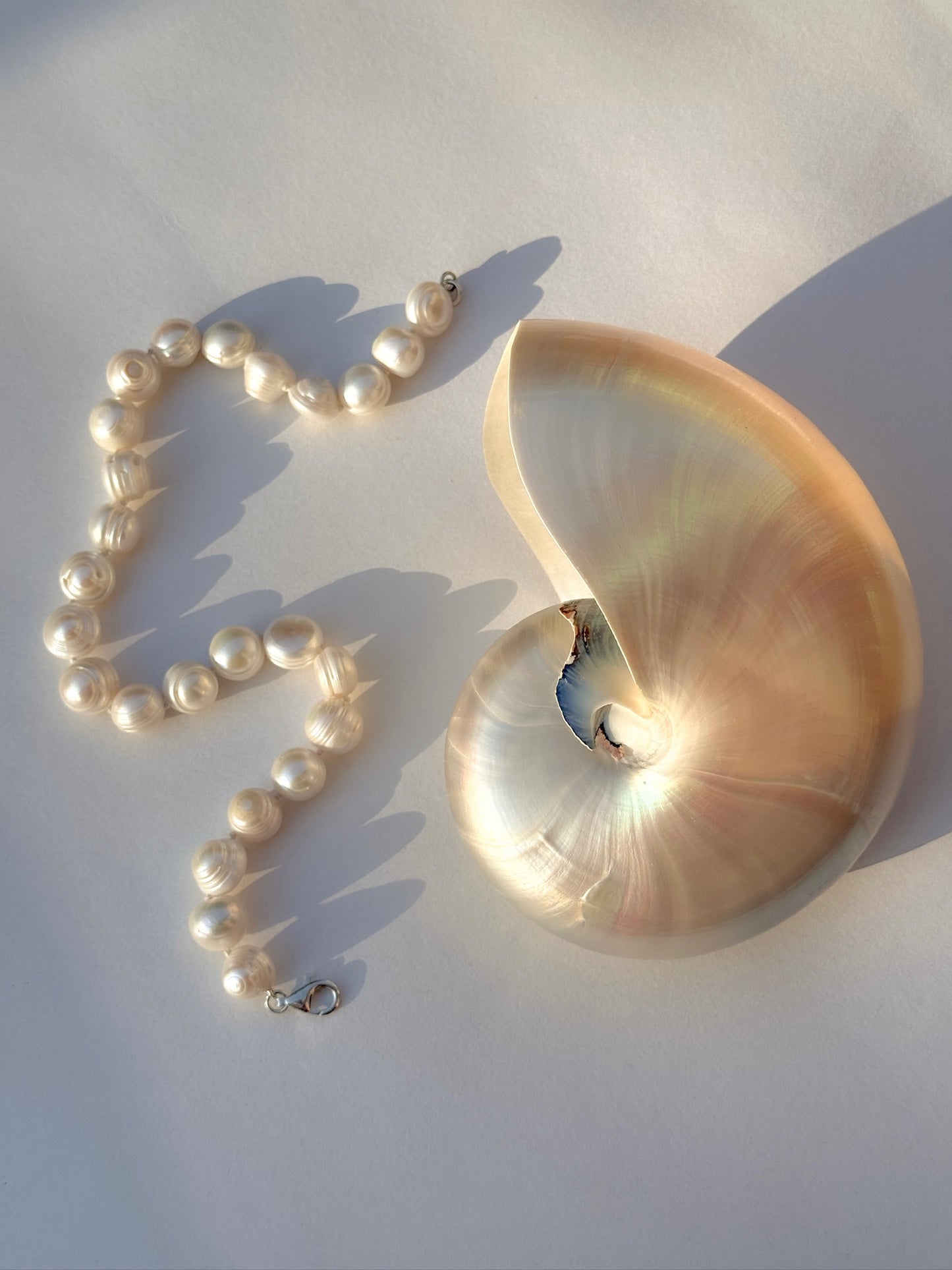 Large White Circle Collar